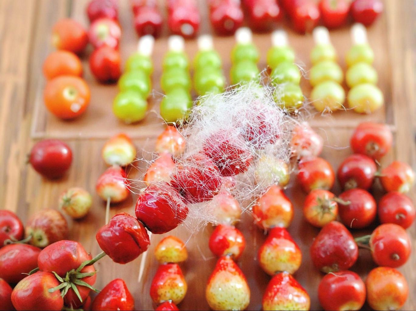 正宗糖葫蘆技術培訓好學嗎？制作細節(jié)怎么掌握？一篇講透！